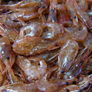 岡野川魚店 えび佃煮