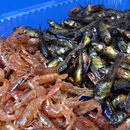 岡野川魚店 ざっこえび詰合佃煮