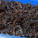 岡野川魚店 生あみ佃煮